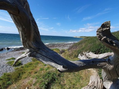Holiday house 4 Sterne Ferienhaus in Bagenkop - Outdoor photo 34