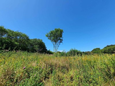 Holiday house 4 Sterne Ferienhaus in Bagenkop - Outdoor photo 36