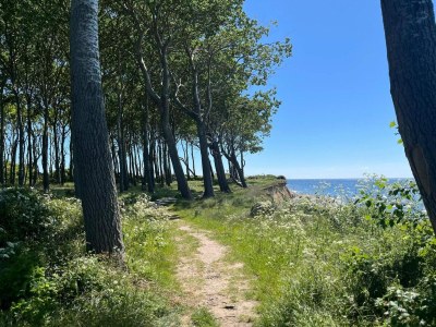 Holiday house 4 Sterne Ferienhaus in Bagenkop - Outdoor photo 37