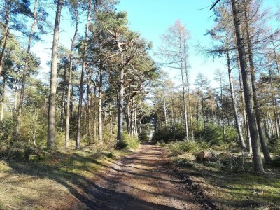 Holiday house 6 person holiday home in Gedser - Outdoor photo 31