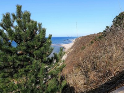 Holiday house 4 star holiday home in Liseleje - Outdoor photo 12