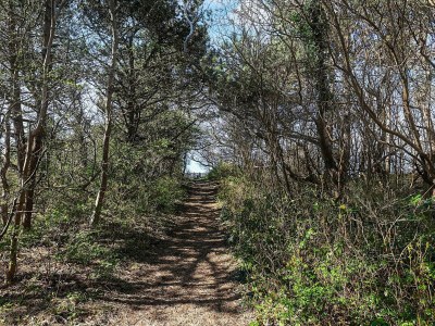 Holiday house 4 star holiday home in Liseleje - Outdoor photo 26