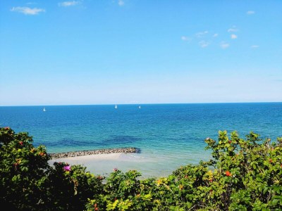 Holiday house 4 star holiday home in Liseleje - Outdoor photo 39