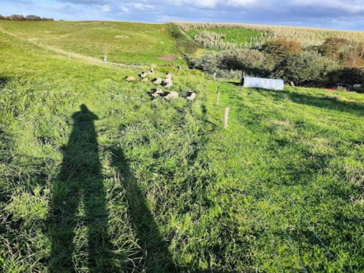 Holiday house 5 star holiday home in Løkken - Outdoor photo 4