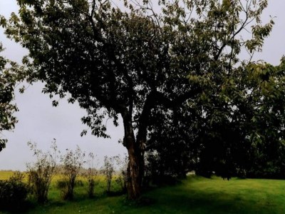 Holiday house 5 star holiday home in Løkken - Outdoor photo 14