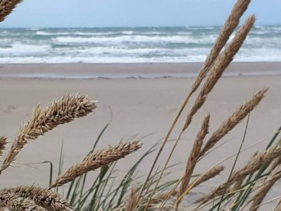 Holiday house 5 star holiday home in Løkken - Outdoor photo 15