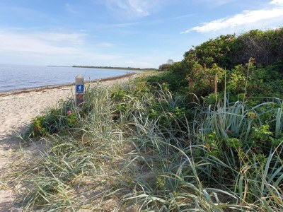 Holiday house 5 Sterne Ferienhaus in Bogense - Outdoor photo 16