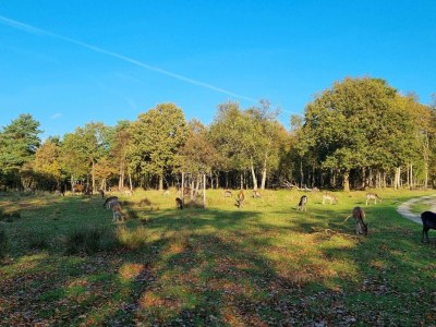 Holiday house 5 Sterne Ferienhaus in Bogense - Outdoor photo 28