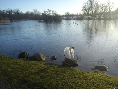 Holiday house 5 person holiday home in Nakskov - Outdoor photo 13