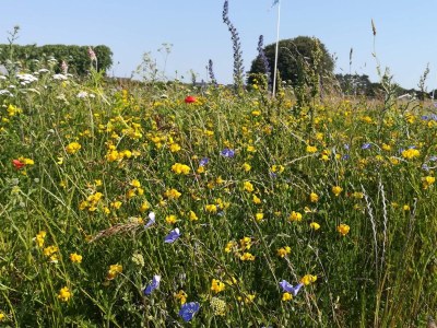 Holiday house 5 person holiday home in Nakskov - Outdoor photo 20