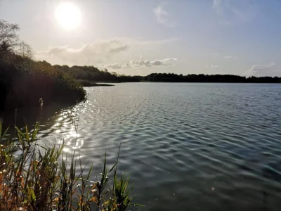 Holiday house 6 person holiday home in Ansager - Outdoor photo 34