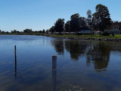 Holiday house 5 star holiday home in Pandrup - Outdoor photo 2