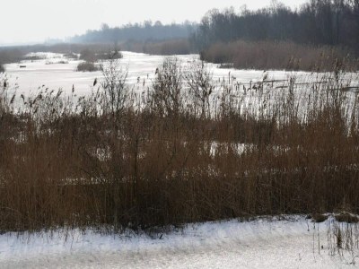 Holiday house 5 star holiday home in Pandrup - Outdoor photo 9