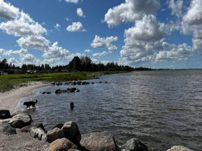 Holiday house 5 star holiday home in Pandrup - Outdoor photo 11