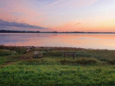 Holiday house 5 star holiday home in Pandrup - Outdoor photo 14