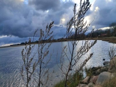 Holiday house 5 star holiday home in Pandrup - Outdoor photo 15