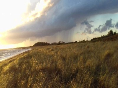 Holiday house 5 star holiday home in Pandrup - Outdoor photo 20