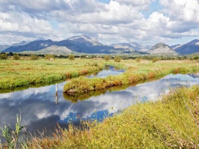 Villa Strandvilla in Pau mit Pool - Environment photo 32