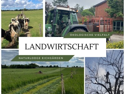 Holiday house Naturlodge Eichgården - Environment photo 38