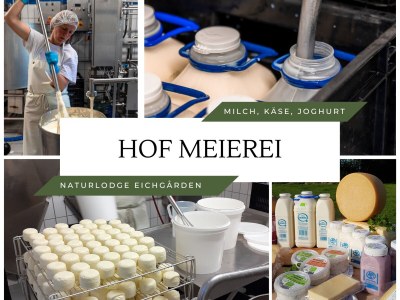 Holiday house Naturlodge Eichgården - Environment photo 39