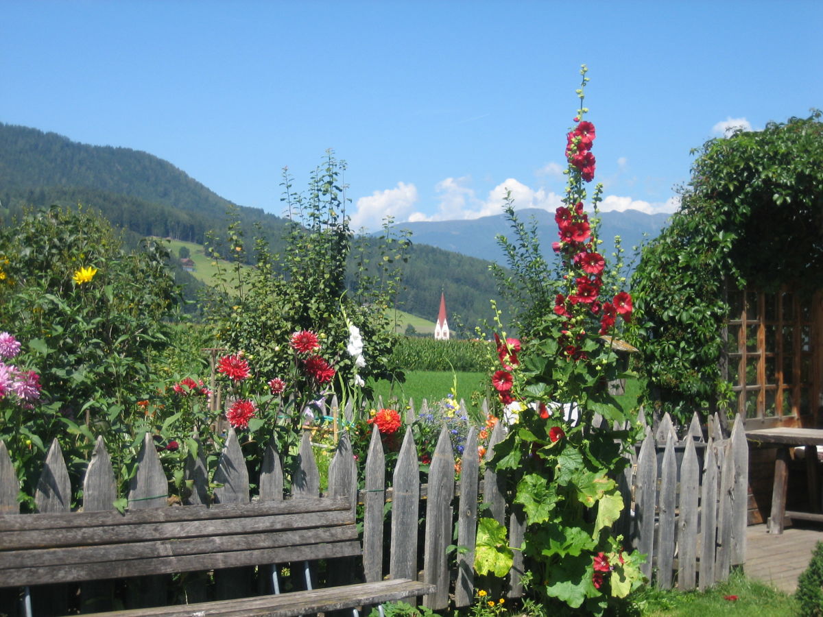 Farmhouse Farmerhof Farm Holiday - Outdoor photo 3