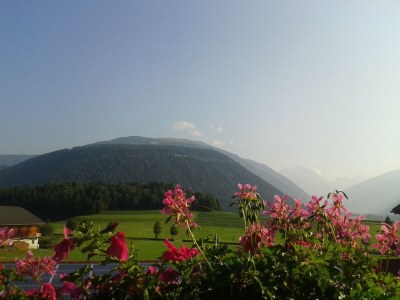 Farmhouse Farmerhof Farm Holiday - Outdoor photo 4