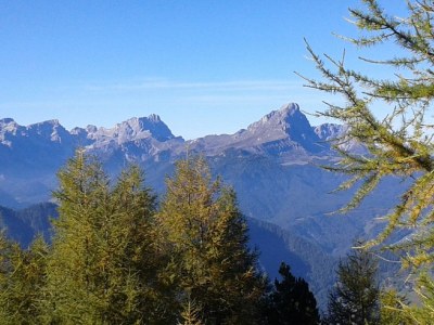 Farmhouse Farmerhof Farm Holiday - Environment photo 15