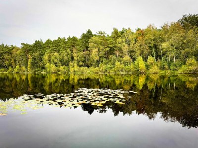 Holiday house Landhaus Speck Haus 2 - Environment photo 22