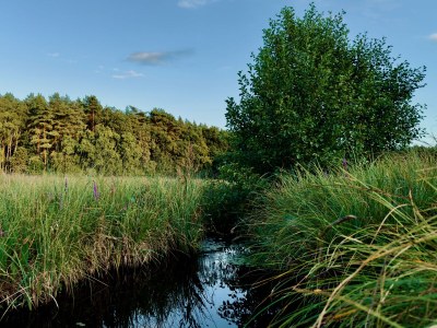 Holiday house Landhaus Speck Haus 2 - Environment photo 23