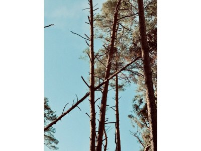 Holiday house Landhaus Speck Haus 2 - Environment photo 25