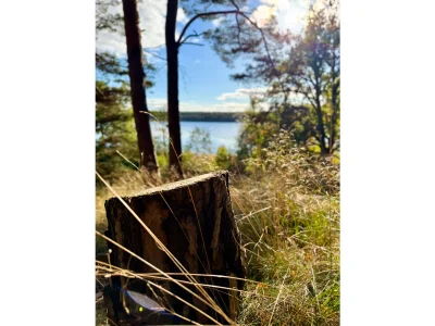 Holiday house Landhaus Speck Haus 2 - Environment photo 26