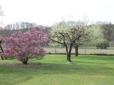 Holiday house Landhaus Speck Haus 2 - Environment photo 30