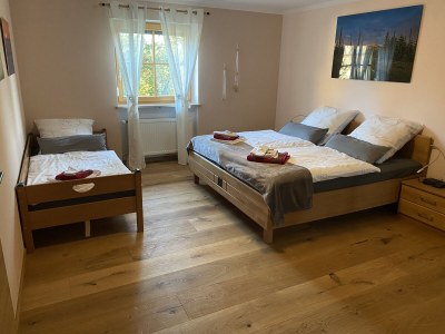 Holiday apartment in a cottage near the national park - Features photo 15