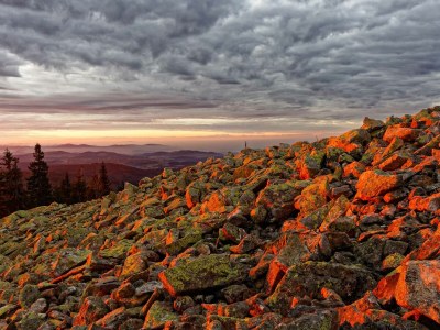 Holiday apartment in a cottage near the national park - Environment photo 20