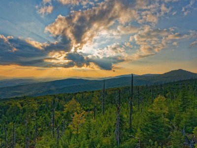 Holiday apartment in a cottage near the national park - Environment photo 22