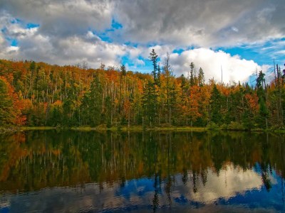 Holiday apartment in a cottage near the national park - Environment photo 23