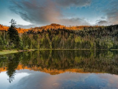 Holiday apartment in a cottage near the national park - Environment photo 24