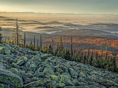 Holiday apartment in a cottage near the national park - Environment photo 25