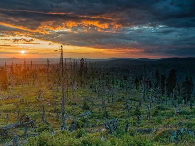Holiday apartment in a cottage near the national park - Environment photo 26