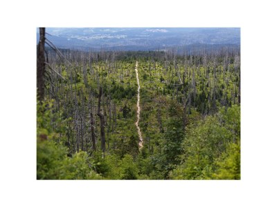 Holiday apartment in a cottage near the national park - Environment photo 32