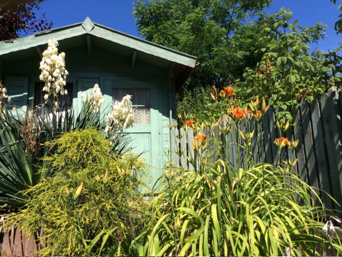 Holiday house Fouchy - Outdoor photo 4