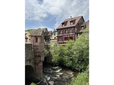 Holiday house Fouchy - Environment photo 17