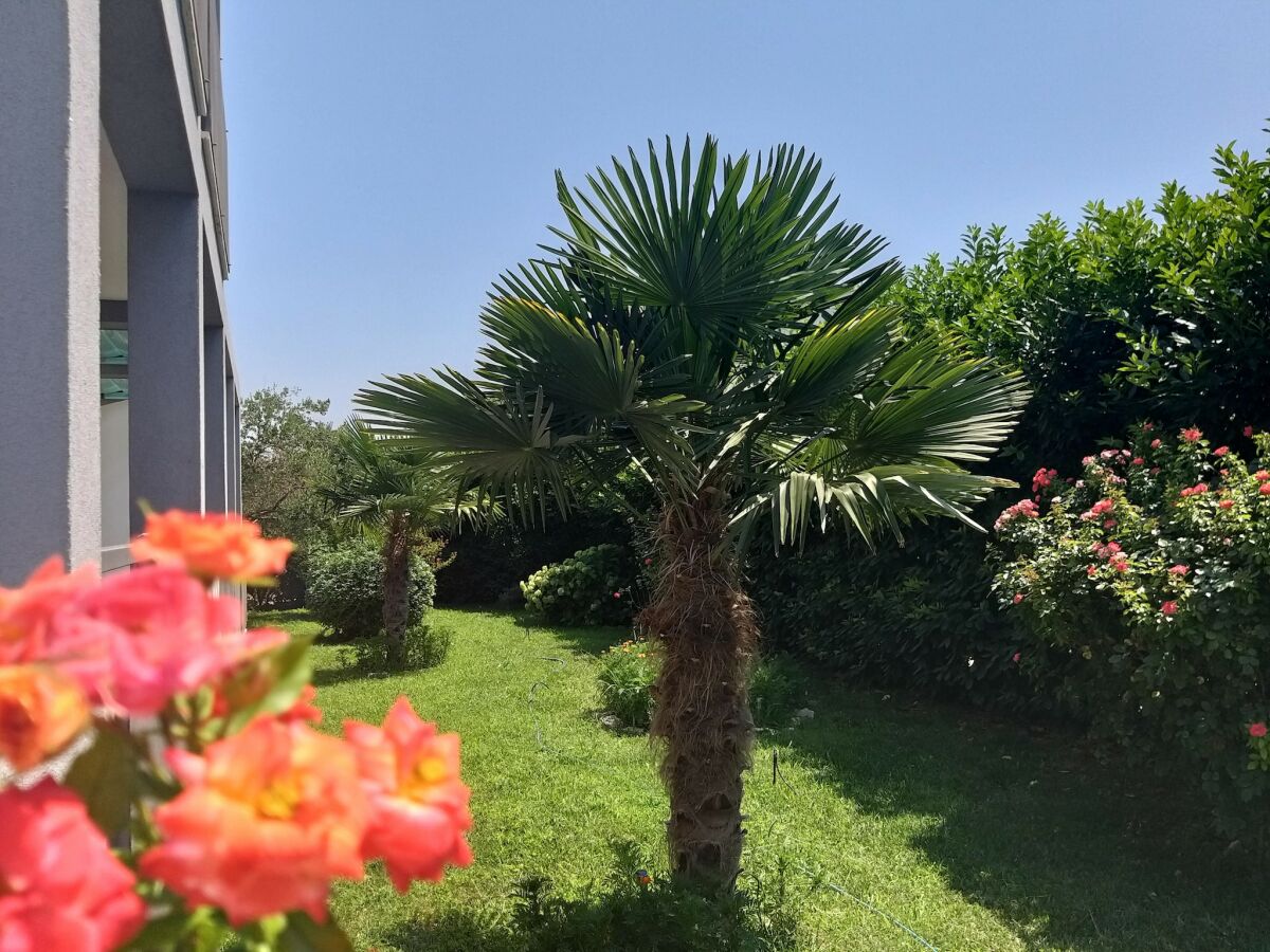 Apartment Wohnung in Kastel Stafilic am Strand - Outdoor photo 3