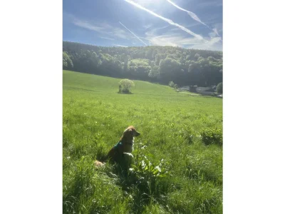 Holiday apartment Torhaus - Environment photo 18