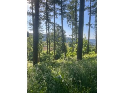 Holiday apartment Torhaus - Environment photo 19