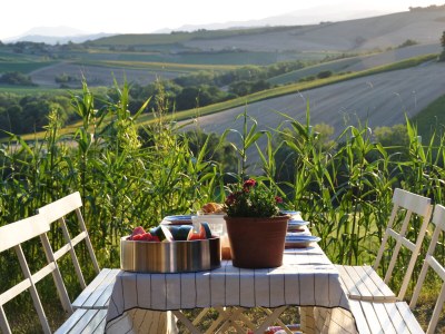 Holiday house Sogno delle Api - Outdoor photo 7