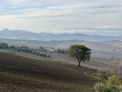 Holiday house Sogno delle Api - Outdoor photo 16