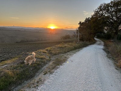 Holiday house Sogno delle Api - Environment photo 38