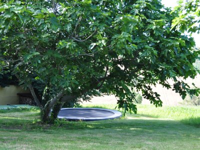 Holiday house Sogno delle Api - Environment photo 39