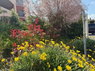 Holiday house Maison Jaune - Outdoor photo 19